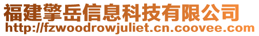 福建擎岳信息科技有限公司