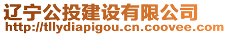 遼寧公投建設(shè)有限公司