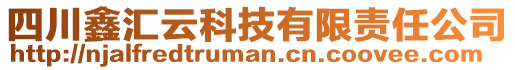 四川鑫汇云科技有限责任公司