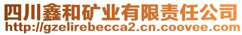 四川鑫和礦業(yè)有限責(zé)任公司