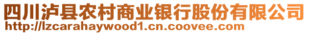 四川瀘縣農(nóng)村商業(yè)銀行股份有限公司