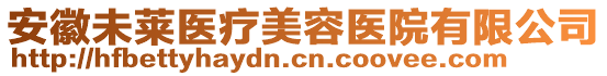 安徽未莱医疗美容医院有限公司