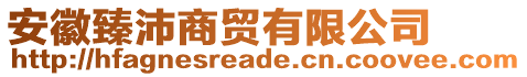 安徽臻沛商貿(mào)有限公司