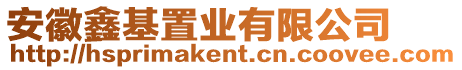 安徽鑫基置業(yè)有限公司