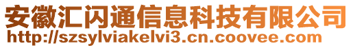 安徽汇闪通信息科技有限公司