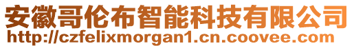 安徽哥倫布智能科技有限公司