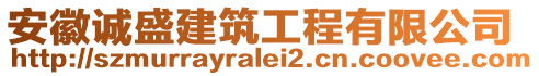 安徽诚盛建筑工程有限公司