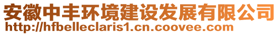 安徽中豐環(huán)境建設(shè)發(fā)展有限公司