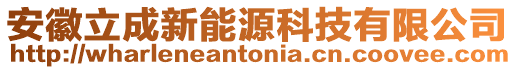 安徽立成新能源科技有限公司