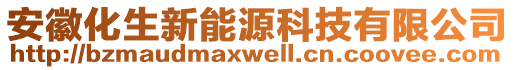 安徽化生新能源科技有限公司