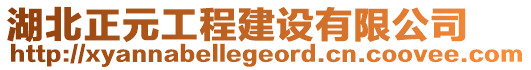 湖北正元工程建设有限公司