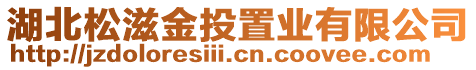 湖北松滋金投置業(yè)有限公司