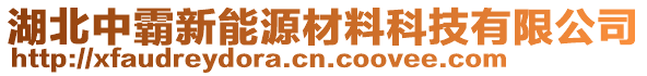 湖北中霸新能源材料科技有限公司