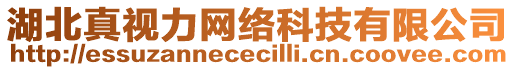 湖北真視力網(wǎng)絡(luò)科技有限公司