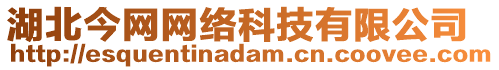 湖北今網(wǎng)網(wǎng)絡(luò)科技有限公司