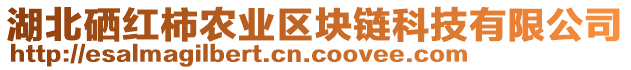 湖北硒紅柿農(nóng)業(yè)區(qū)塊鏈科技有限公司