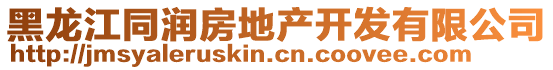 黑龍江同潤房地產(chǎn)開發(fā)有限公司