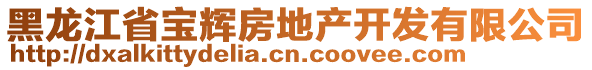 黑龙江省宝辉房地产开发有限公司