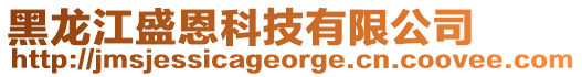 黑龙江盛恩科技有限公司