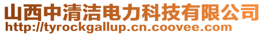 山西中清洁电力科技有限公司