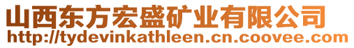 山西東方宏盛礦業(yè)有限公司