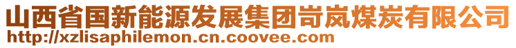 山西省國(guó)新能源發(fā)展集團(tuán)岢嵐煤炭有限公司