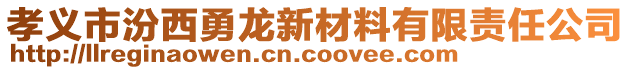 孝义市汾西勇龙新材料有限责任公司