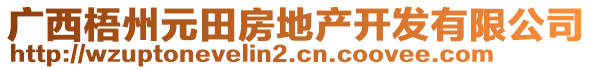 廣西梧州元田房地產(chǎn)開發(fā)有限公司