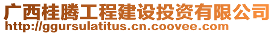 廣西桂騰工程建設(shè)投資有限公司