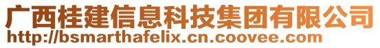 廣西桂建信息科技集團(tuán)有限公司