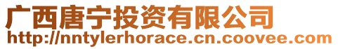 廣西唐寧投資有限公司