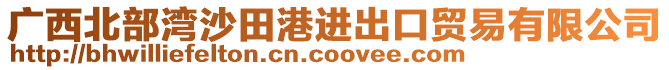 广西北部湾沙田港进出口贸易有限公司