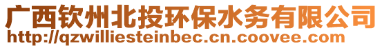 广西钦州北投环保水务有限公司