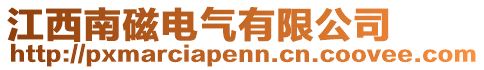 江西南磁电气有限公司