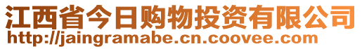 江西省今日購物投資有限公司