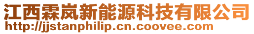 江西霖岚新能源科技有限公司