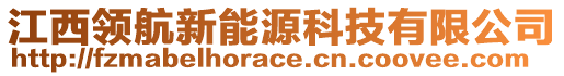 江西領(lǐng)航新能源科技有限公司