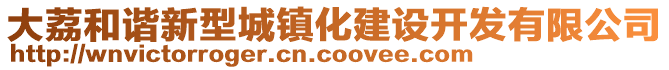 大荔和谐新型城镇化建设开发有限公司