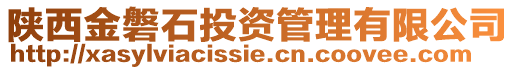 陜西金磐石投資管理有限公司