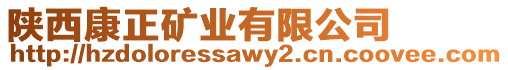 陜西康正礦業(yè)有限公司