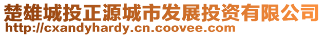 楚雄城投正源城市發(fā)展投資有限公司