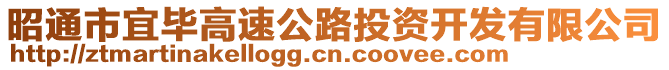 昭通市宜毕高速公路投资开发有限公司