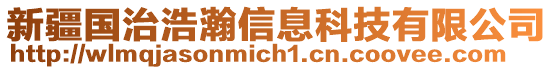 新疆国治浩瀚信息科技有限公司