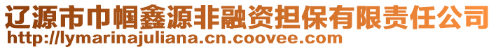 遼源市巾幗鑫源非融資擔(dān)保有限責(zé)任公司