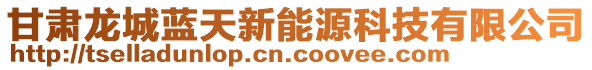 甘肅龍城藍天新能源科技有限公司