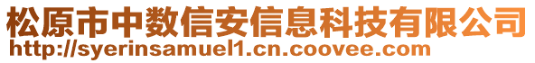 松原市中數(shù)信安信息科技有限公司