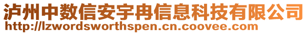 瀘州中數(shù)信安宇冉信息科技有限公司