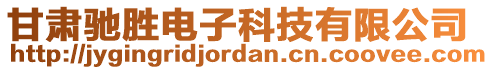 甘肅馳勝電子科技有限公司