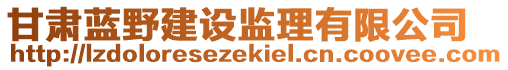 甘肅藍(lán)野建設(shè)監(jiān)理有限公司