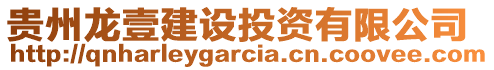 貴州龍壹建設(shè)投資有限公司